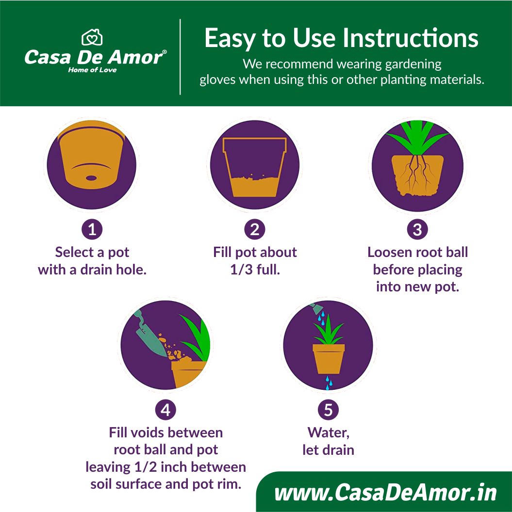 application of  Aloe Vera Potting Soil Mix