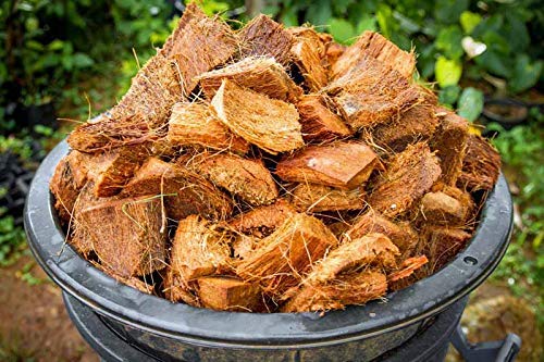 best coconut husk chip fiber