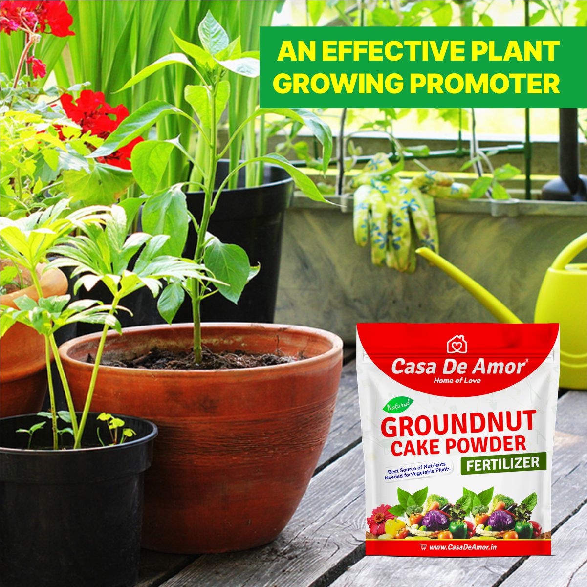 Casa De Amor Natural Groundnut Cake Powder Fertilizer for Home, Balcony, Terrace & Outdoor Gardening (900 Gm)