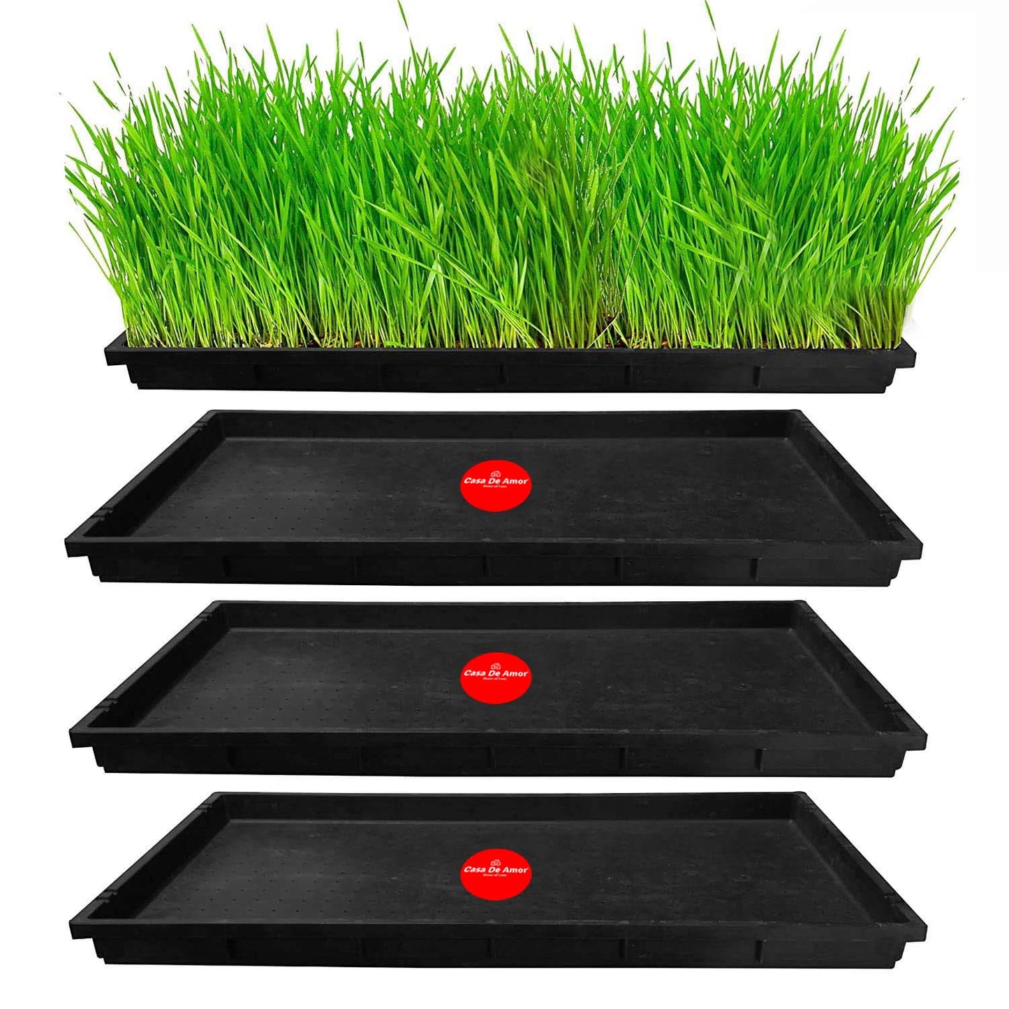 Casa De Amor Wheat Grass Trays, Growing Microgreen Tray, Hydroponics, Seedling Starter for Greenhouse, Hydroponics, Vegetables, Flower Germination, Paddy Tray, Thick Reusable