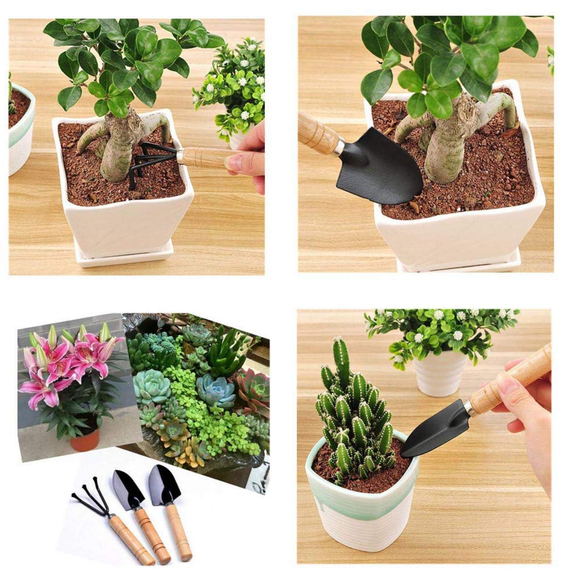 Casa De Amor Mini Gardening Tools Kit - Cultivator, Trans-Planter and Trowel (3 Piece)