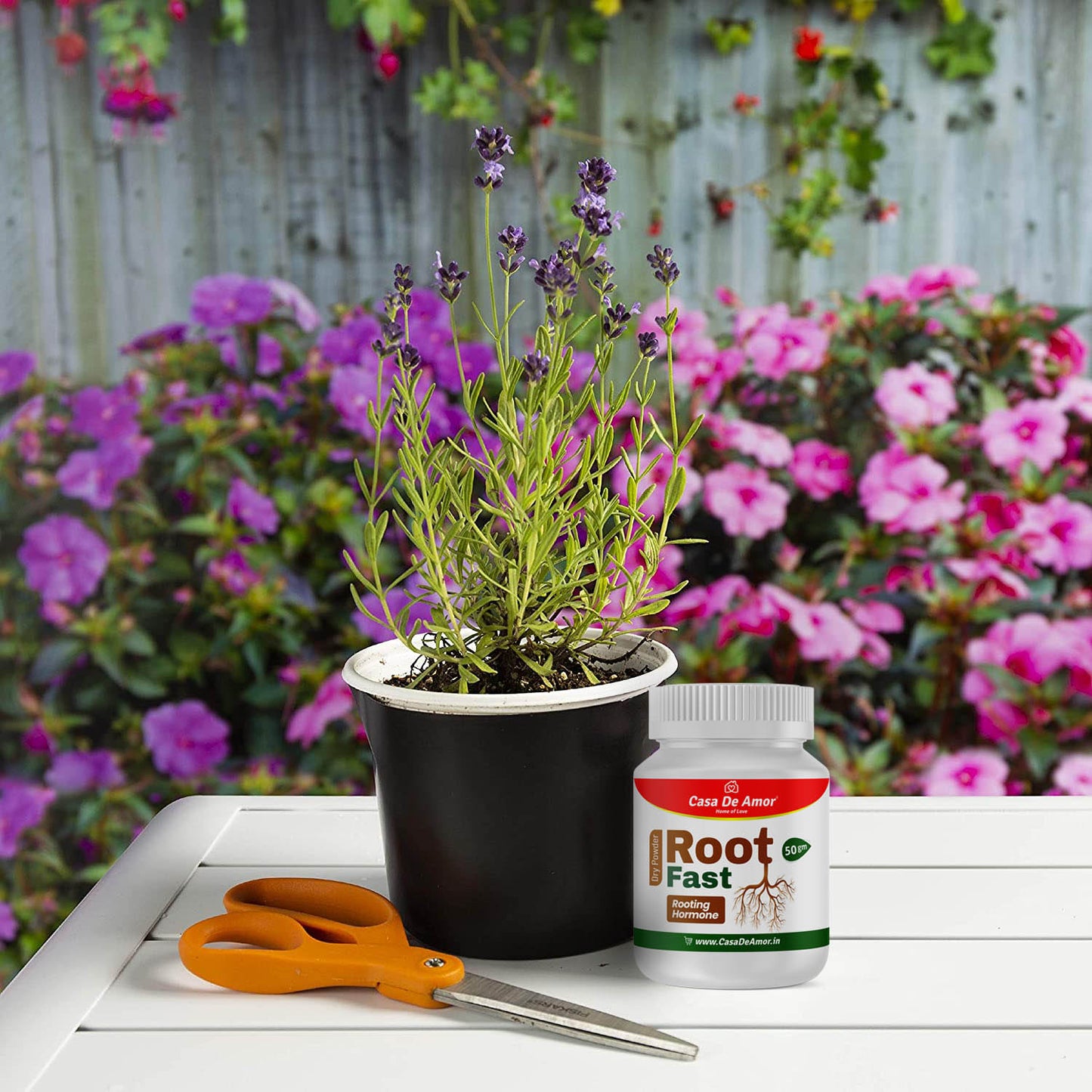 Casa De Amor Root Fast Rooting Hormone, Promotes Rooting, Grow New Plants from Cuttings