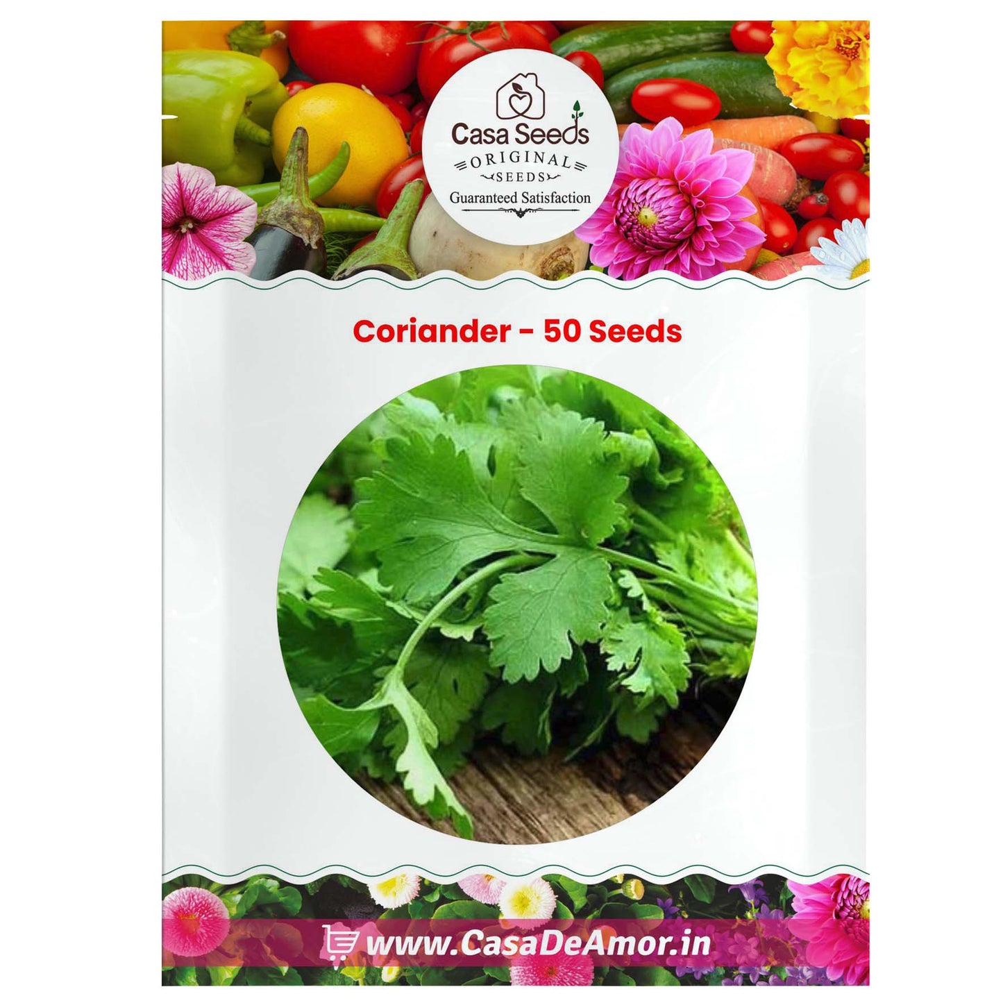Coriander - 50 Seeds