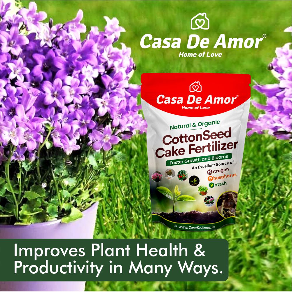 Casa De Amor Cottonseed Cake Organic Fertilizer (Kapasya khal)