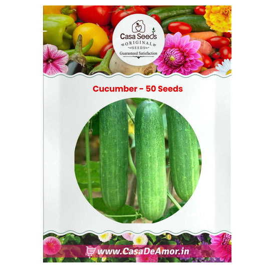 Cucumber - 50 Seeds