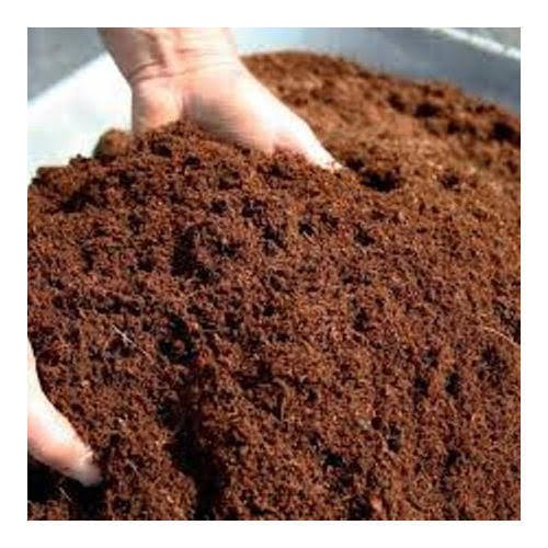 coco peat soil