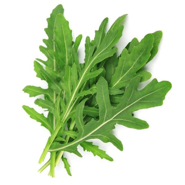 Eruca Sativa (Arugula)