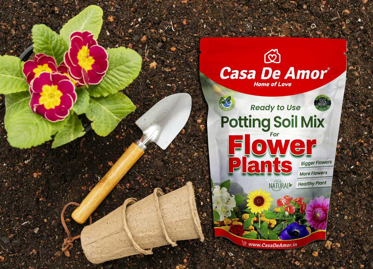 Casa De Amor Organic Flower Potting Soil Mix for Home Garden Flower Plants, Ready to Use