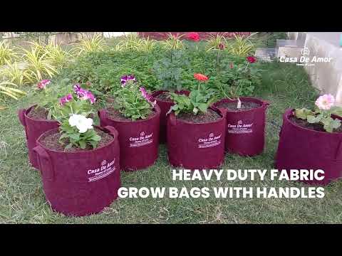 T4U Fabric Plant Grow Bags with Handle 5 Gallon Pack India  Ubuy