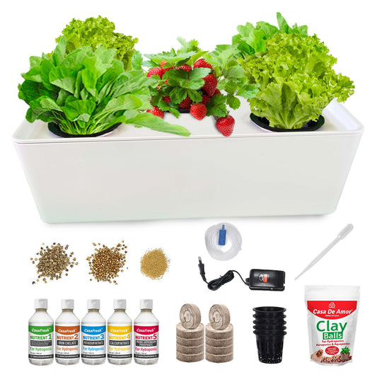 Buy Hydroponic Kit & Nutrients for Home Gardening