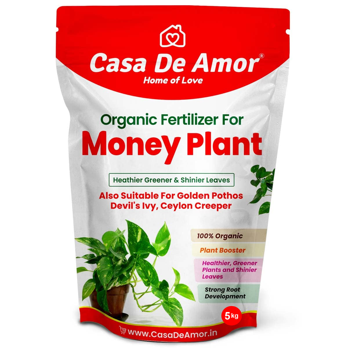 Money Plant Fertilizer, Heathier greener and Shinier leaves for Indoor and Outdoor Gardening