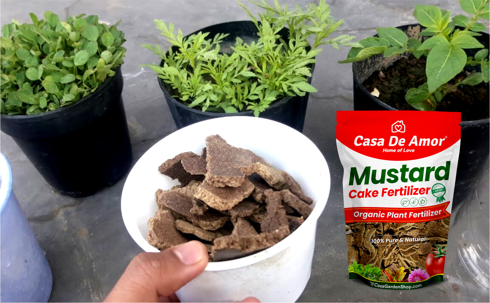 Mesmara Groundnut Oil Cake for Plants 900 GMS : Amazon.in: Garden & Outdoors