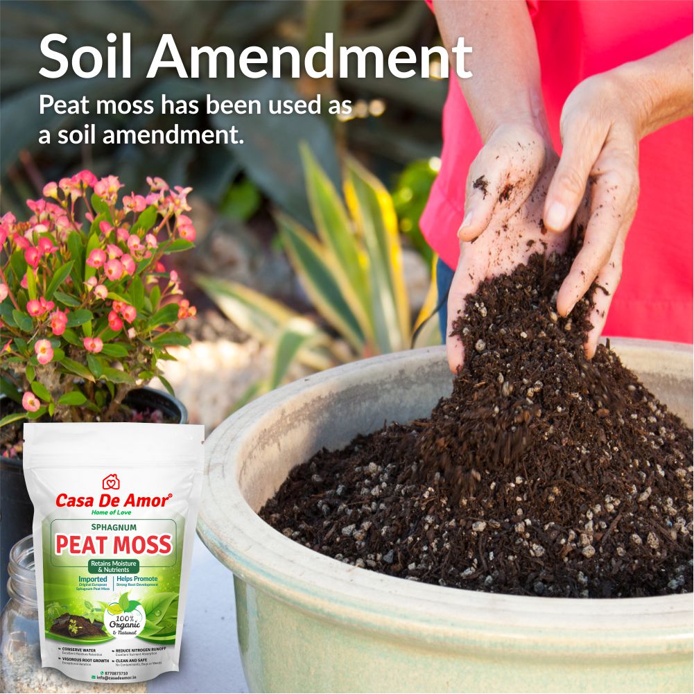 mixing peat moss with soil