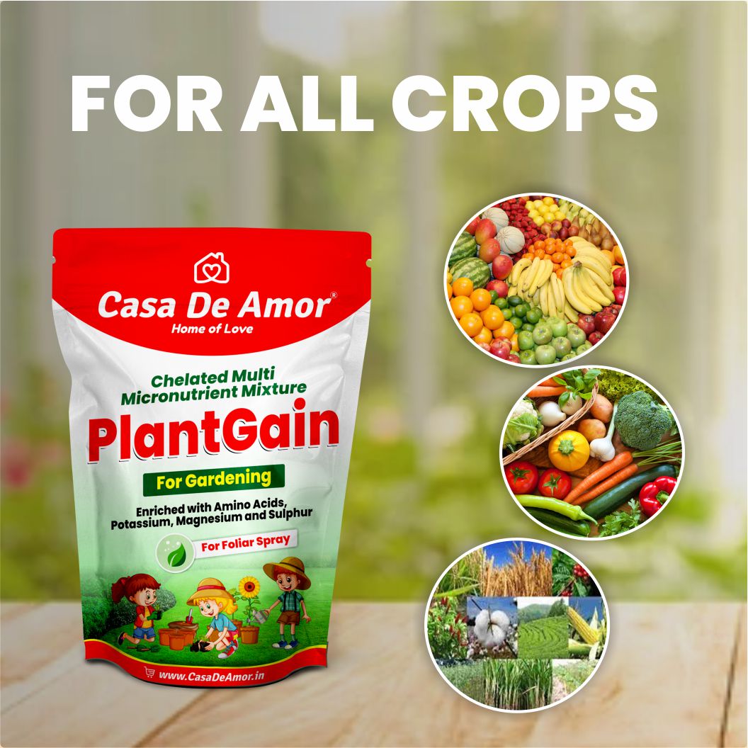 Casa De Amor Plant Gain Chelated Multi Micronutrient Mixture, Foliar Spray for All Plants, Boosts Photosynthesis and Corrects Common Yellowing