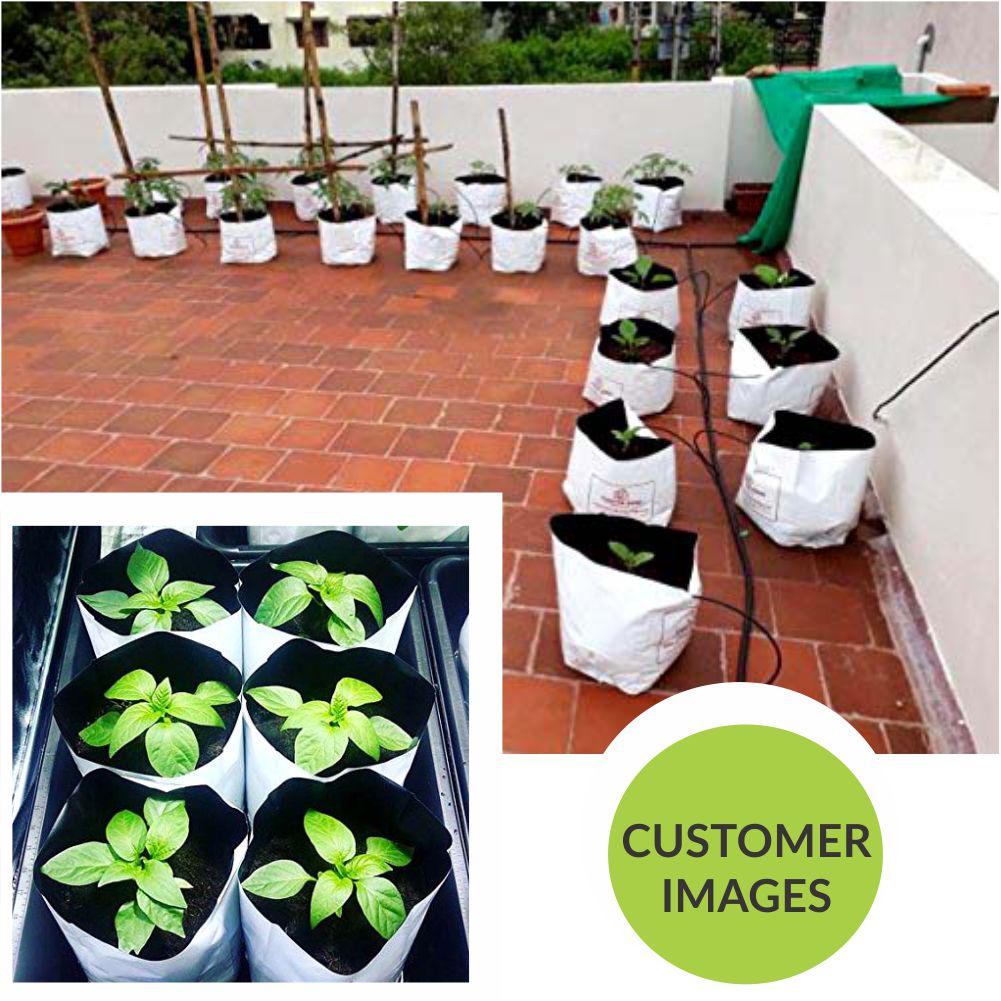 roof gardening with poly grow bags