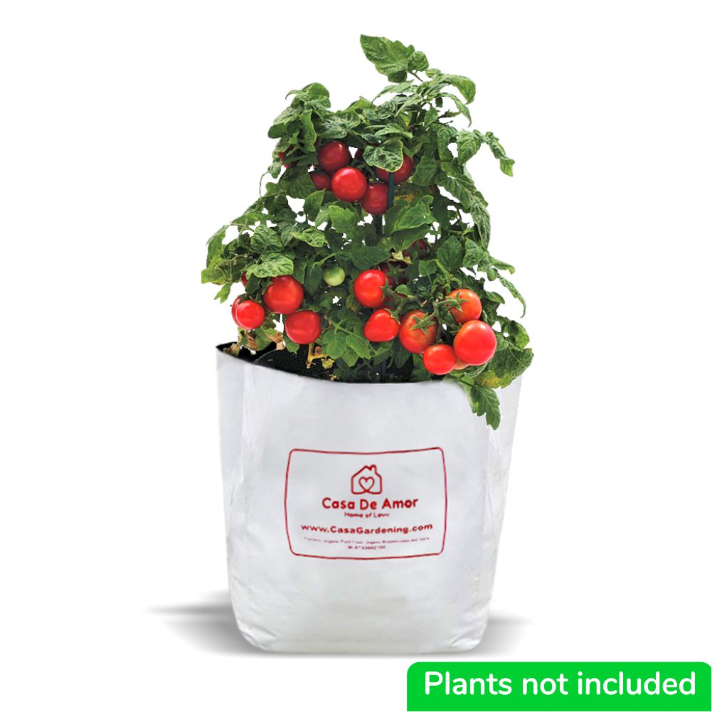 Thickened Plastic Plant Nursery Bags Fruit And Flower Seedling Planting Bags  Garden Plant Growing Bags With Breathable Holes 25x30cmdxh 200pcsephe   Fruugo IN