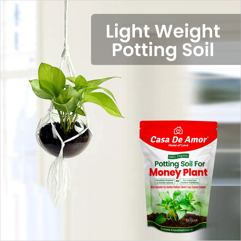 Casa De Amor Enriched Organic Potting Soil Mix for Money Plant, Devil's Ivy, Ceylon Creeper | Light Weight | Ready to Use