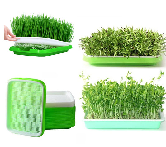 Durable Hydroponics Basket Nursery Tray Seed Nursery Pot Flower Plant Seed Germination Tray Grow Box Vegetable Seeding Tray Case - Casa De Amor Organic Gardening India
