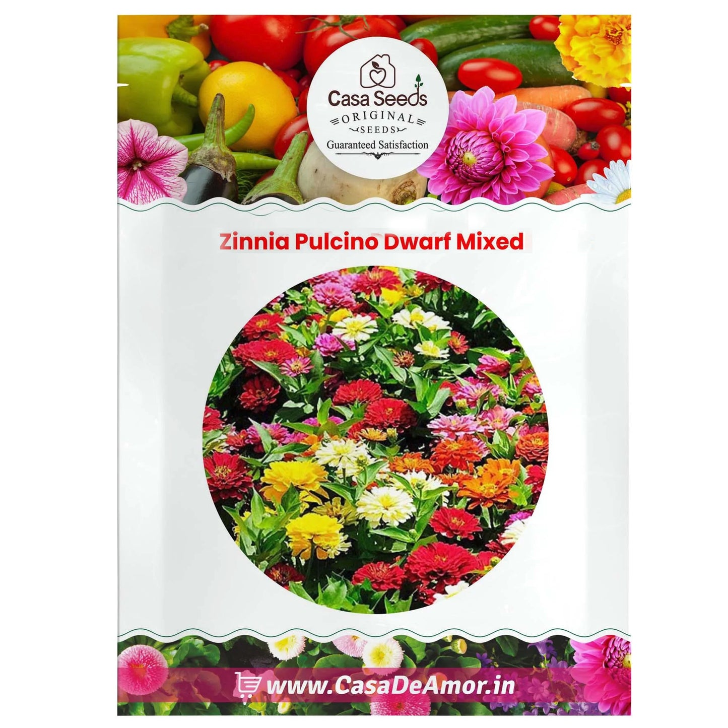 Zinnia Pulcino Dwarf Mixed- 50 Seeds