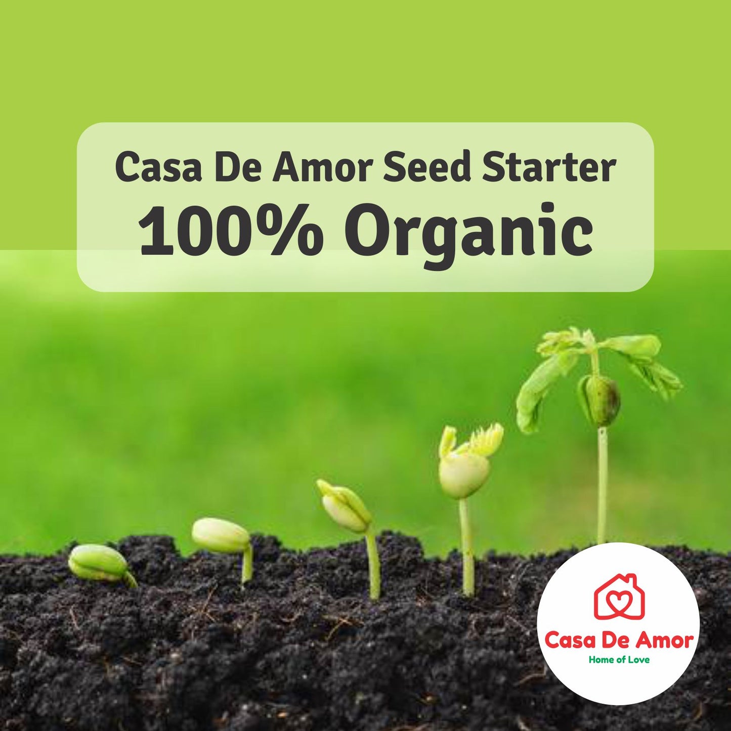 best Organic Seed Starter