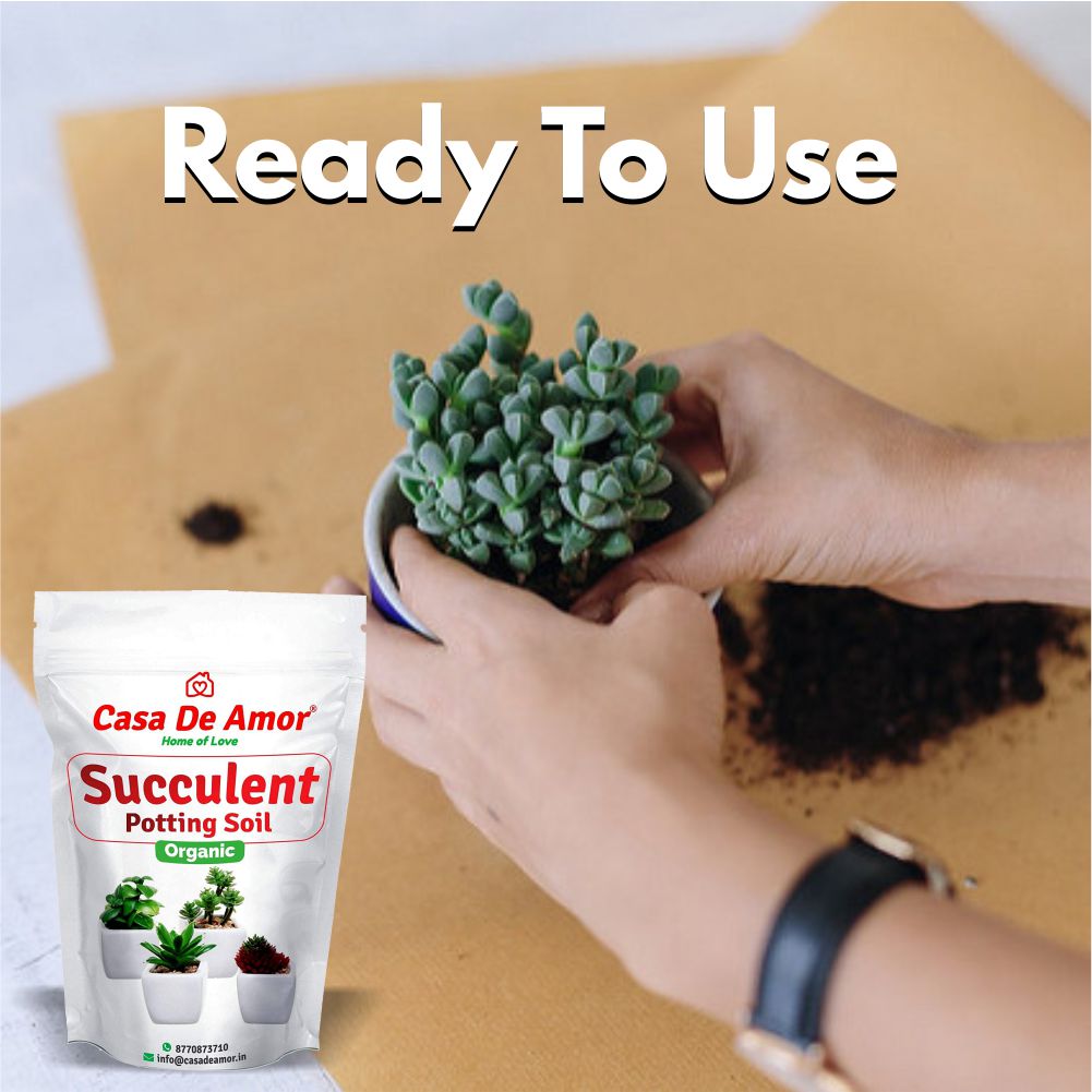 Succulents Potting Soil 100% Organic Special Research Based Formula for All Succulent Plants