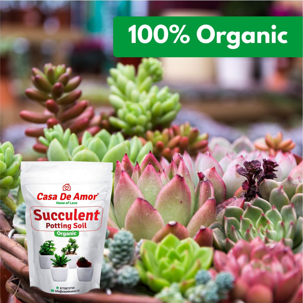 Succulents Potting Soil 100% Organic Special Research Based Formula for All Succulent Plants