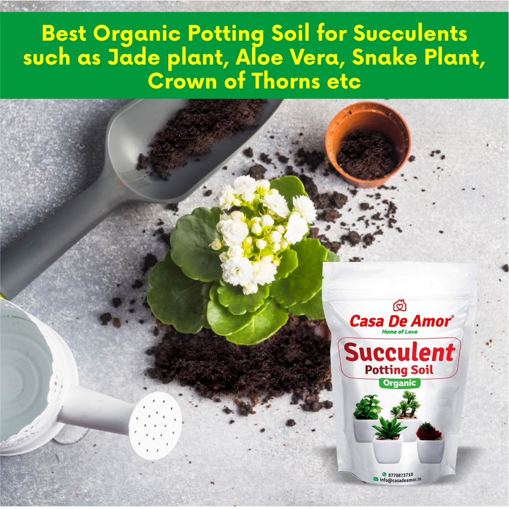 Succulents Potting Soil 100% Organic Special Research Based Formula for All Succulent Plants