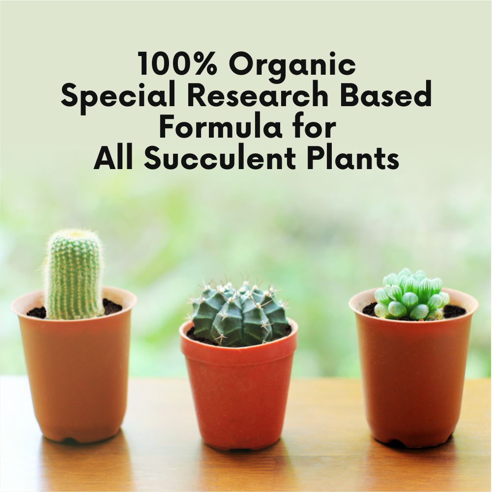 Succulents Potting Soil 100% Organic Special Research Based Formula for All Succulent Plants