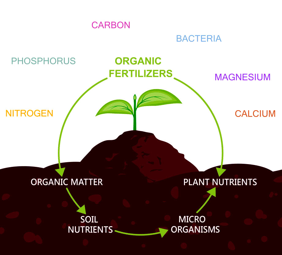 Casa De Amor Organic Vermicompost Fertilizer Manure for Plants