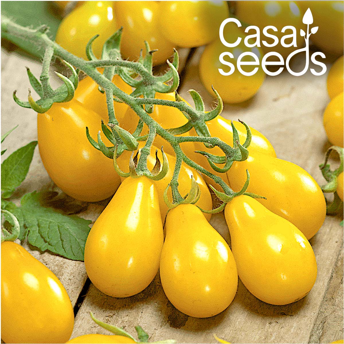 Tomato Yellow Grapes- 50 Seeds