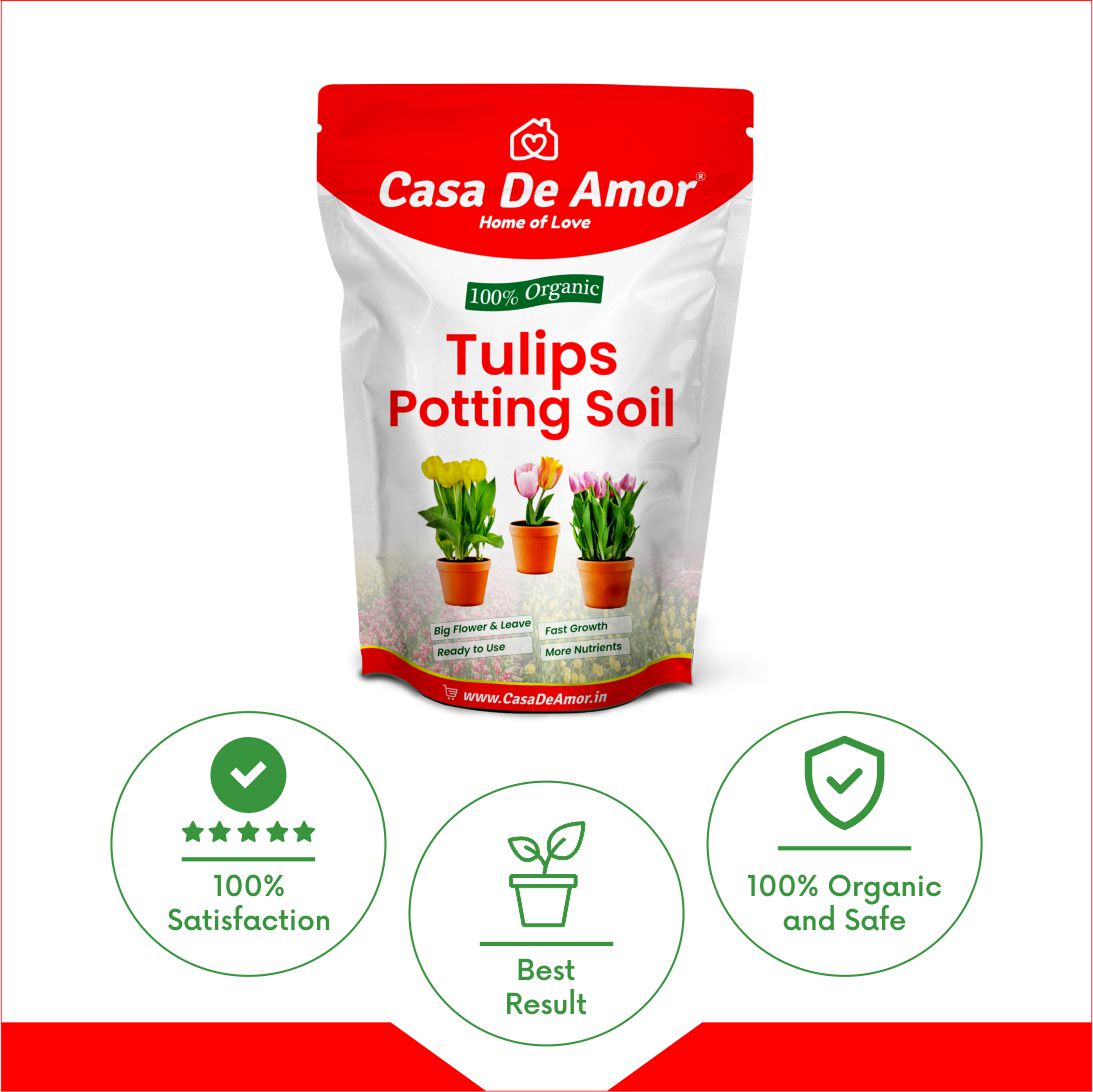 Casa De Amor Tulips Plant Potting Soil, 100% Natural and Organic