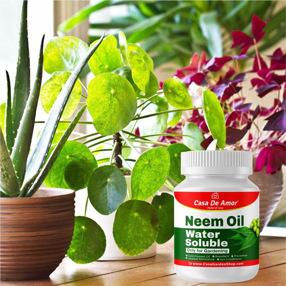 100% organic and water soluble neem oil